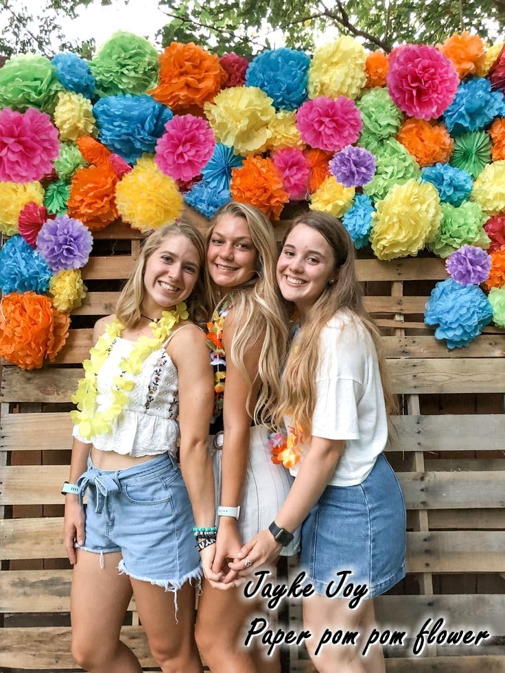 Jayke Joy 12 Pcs Paper Pom Poms Kit, Tissue Paper Flowers for Birthday, Party, Fiesta, Classroom, Playroom Festive Decorations (Multicolor, Assorted Sizes) - Image 4