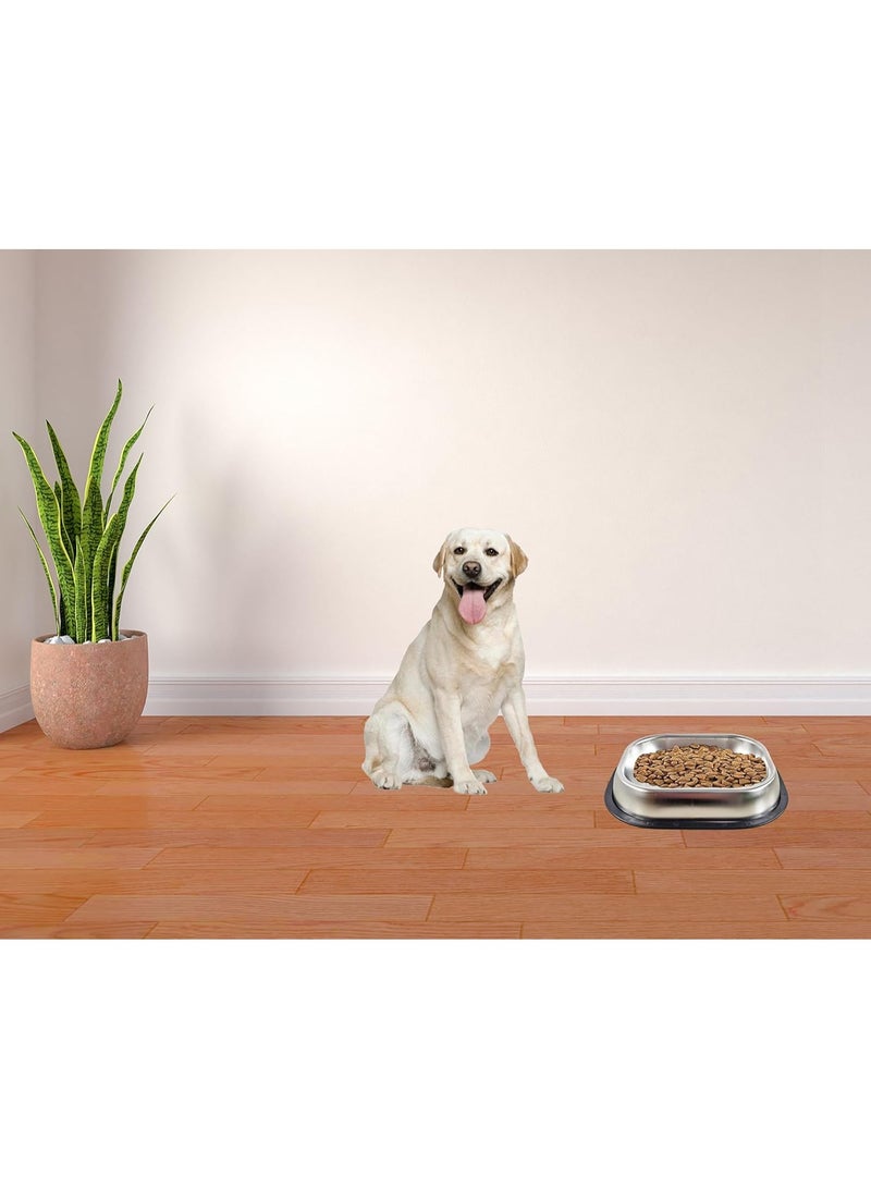 أن ان سي بيتس وعاء طعام للكلاب من الفولاذ المقاوم للصدأ للسلالات المتوسطة إلى الكبيرة، وعاء طعام مستطيل للحيوانات الأليفة بتصميم سلس وشريط لاصق غير قابل للانزلاق، مثالي للتغذية والري، سهل التنظيف 25 سم (فضي) - Image 3