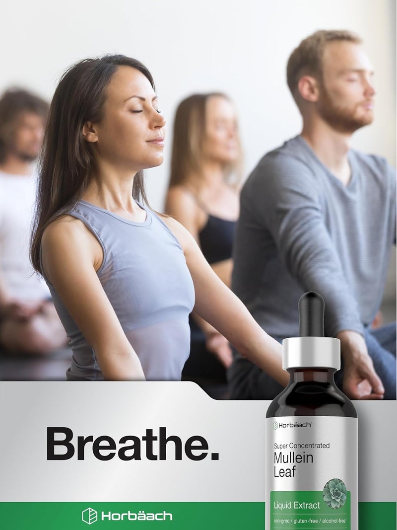 Horbach Mullein Leaf Extract Drops | 2 fl oz | Alcohol Free Liquid Tincture | Vegetarian, Non-GMO & Gluten Free Herbal Supplement - Image 4