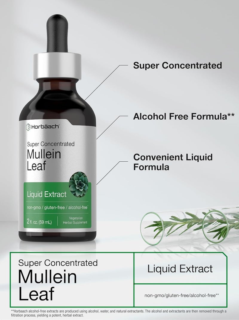 Horbach Mullein Leaf Extract Drops | 2 fl oz | Alcohol Free Liquid Tincture | Vegetarian, Non-GMO & Gluten Free Herbal Supplement - Image 2