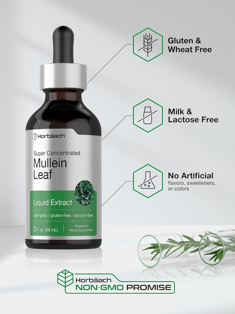 Horbach Mullein Leaf Extract Drops | 2 fl oz | Alcohol Free Liquid Tincture | Vegetarian, Non-GMO & Gluten Free Herbal Supplement - Image 3