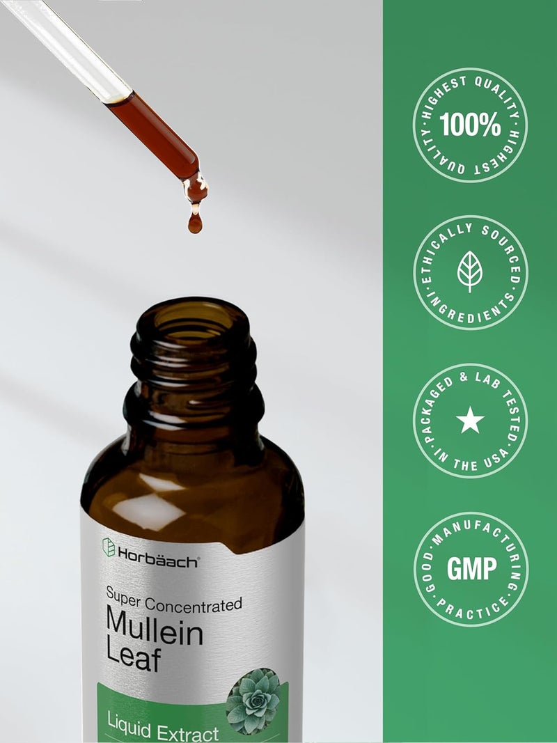 Horbach Mullein Leaf Extract Drops | 2 fl oz | Alcohol Free Liquid Tincture | Vegetarian, Non-GMO & Gluten Free Herbal Supplement - Image 5