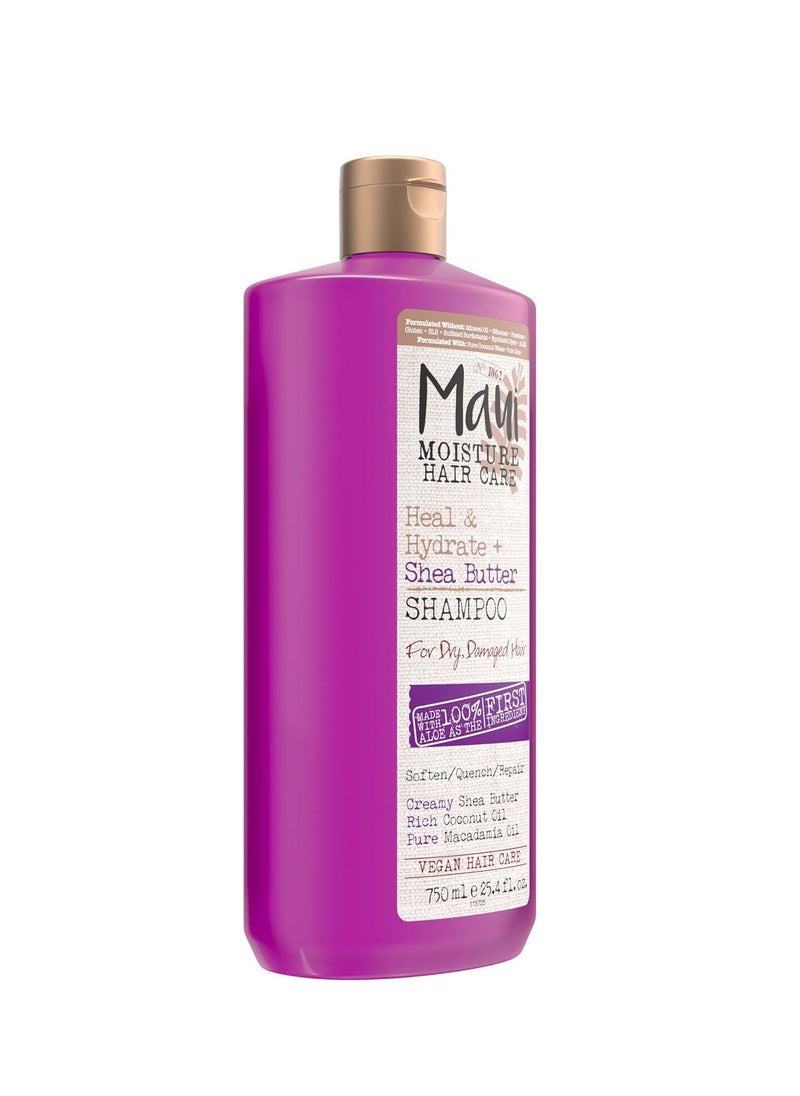 MAUI MOISTURE Maui Moisture Heal & Hydrate + Shea Butter Shampoo for Dry, Damaged Curls Helps Revive Curly & Coily Hair with Coconut Oil & Macadamia Oil, Vegan & Sulfate-Free Surfactants, 25.4 fl. Oz  - Image 3
