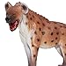 Gemini&Genius GeminiGenius Hyena Toy for Kids Plastic Animal Model Toy Hyaena Toy Figurine Wild Life Wolf Animal Action Figure Room Decoration Cake Topper Educational Play for Kids - Image 4