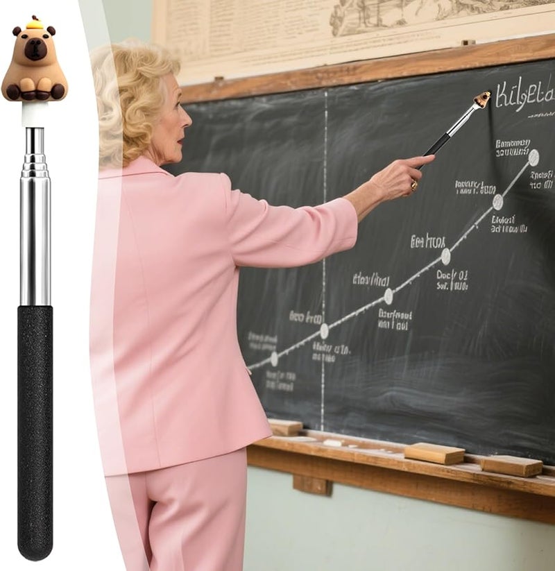 Telescopic Pointer Stick Soft Grip Cartoon Style Teaching Aid For Classroom - Image 4