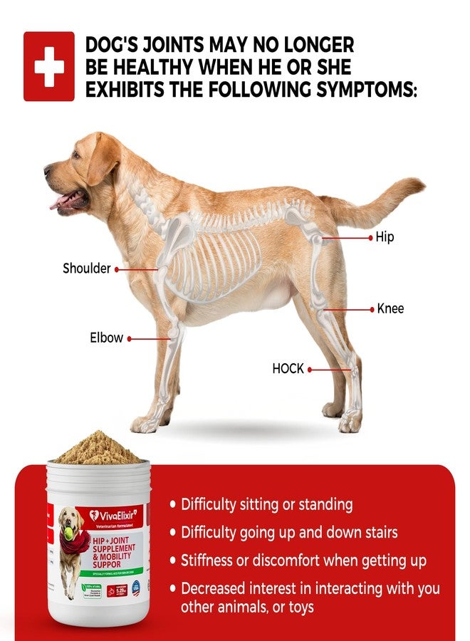 VivaElixir Dog Hip and Joint Supplement with Green-Lipped Mussels, Dog Pain Relief - Glucosamine, Chondroitin, Vitamin E, Omega 3 - Treats Arthritis & Repair Cartilage with Results Within 6 Weeks - Image 4