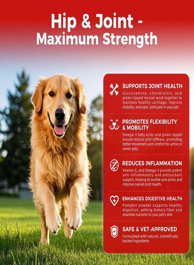 VivaElixir Dog Hip and Joint Supplement with Green-Lipped Mussels, Dog Pain Relief - Glucosamine, Chondroitin, Vitamin E, Omega 3 - Treats Arthritis & Repair Cartilage with Results Within 6 Weeks - Image 2