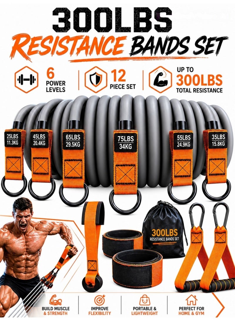 Ayshal 300LBS Resistance Bands Set,6 Power Levels of Resistance Rope,12-Piece Set Including Handles,Door Anchor,Ankle Straps & Storage Bag,High Elasticity Tear-Resistant Bands for Exercise Strength Training - Image 1