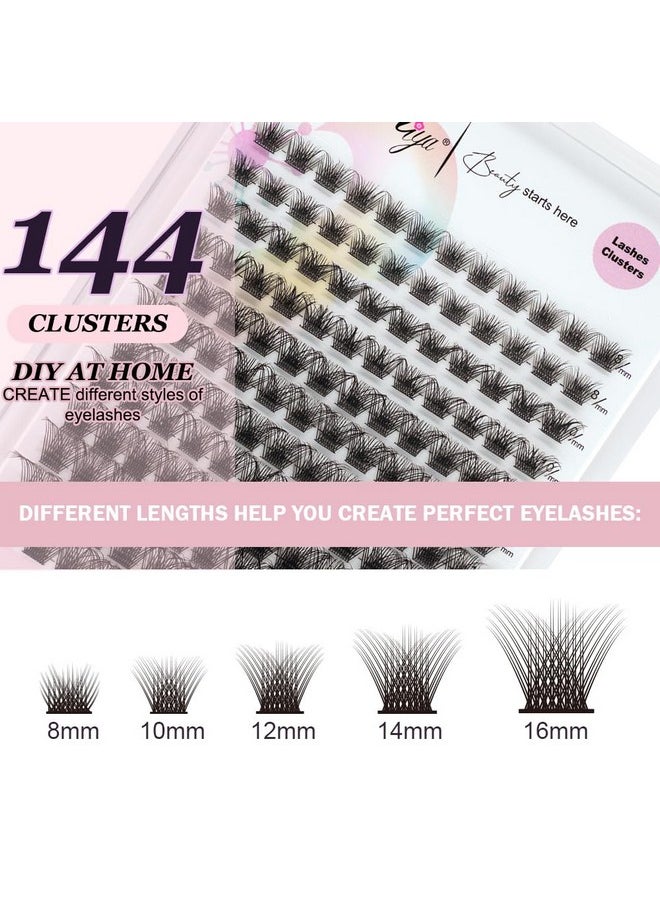 Riya - Lash Clusters 144Pcs With Strong Hold Bond Seal Lash Glue And Eyelash Extenisons Kit And Applicator Clusters Lashes Kit 816Mm D Curl Individual Lashes Diy At Home（01） - Image 1