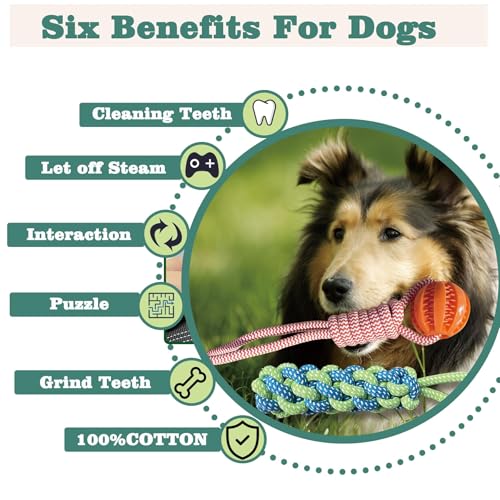 ASDICOXB Interactive Dog Toys Tug of War Dog Toy for Small/Medium/Large Dogs,Teething Rope for Teeth Cleaning,Puzzle Ball for Chewing,Dog Bungee Tug Toy Kit, Blue - Image 5