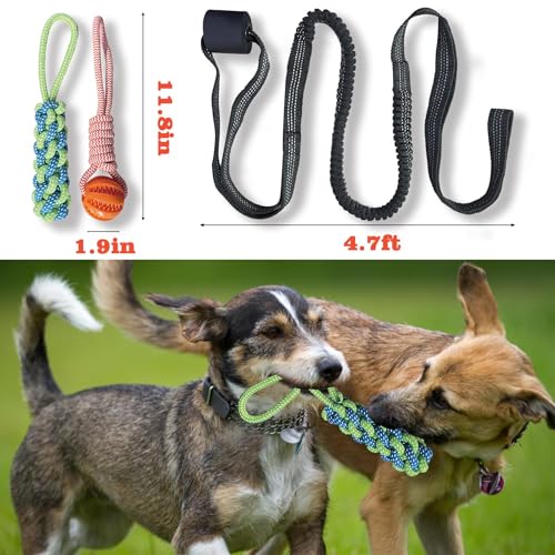 ASDICOXB Interactive Dog Toys Tug of War Dog Toy for Small/Medium/Large Dogs,Teething Rope for Teeth Cleaning,Puzzle Ball for Chewing,Dog Bungee Tug Toy Kit, Blue - Image 2