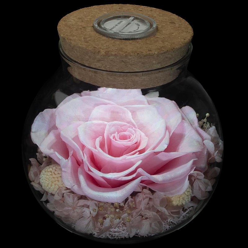 roliys Preserved Real Roses with Colorful Mood Light Wishing Bottle  Eternal Rose Never Withered Flowers  for Bedroom Party Table Decor  Christmas Decorations  a Gifts for Women 1pcs Pink - Image 1