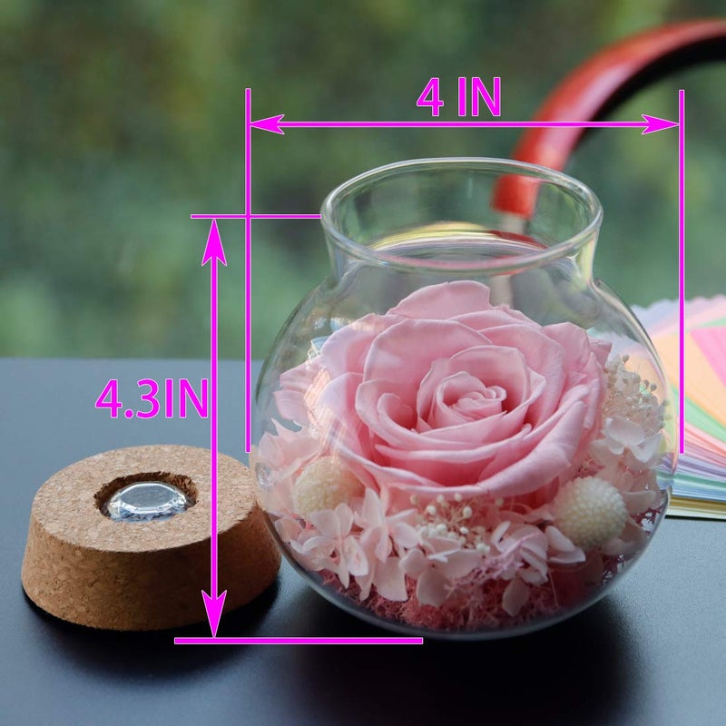 roliys Preserved Real Roses with Colorful Mood Light Wishing Bottle  Eternal Rose Never Withered Flowers  for Bedroom Party Table Decor  Christmas Decorations  a Gifts for Women 1pcs Pink - Image 2