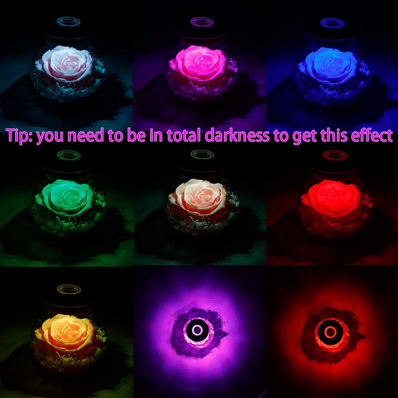 roliys Preserved Real Roses with Colorful Mood Light Wishing Bottle  Eternal Rose Never Withered Flowers  for Bedroom Party Table Decor  Christmas Decorations  a Gifts for Women 1pcs Pink - Image 3