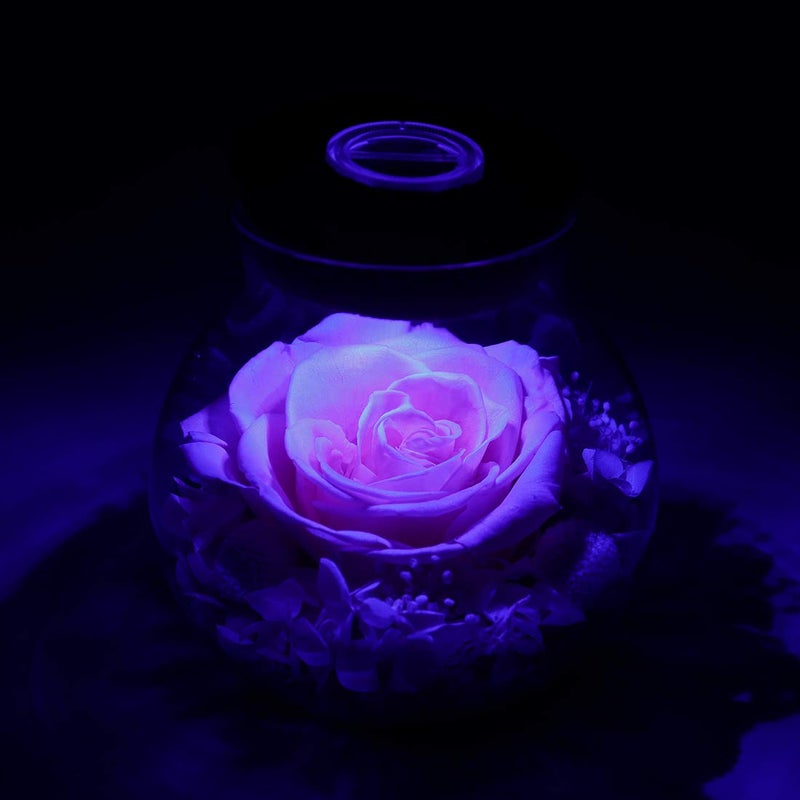 roliys Preserved Real Roses with Colorful Mood Light Wishing Bottle  Eternal Rose Never Withered Flowers  for Bedroom Party Table Decor  Christmas Decorations  a Gifts for Women 1pcs Pink - Image 4