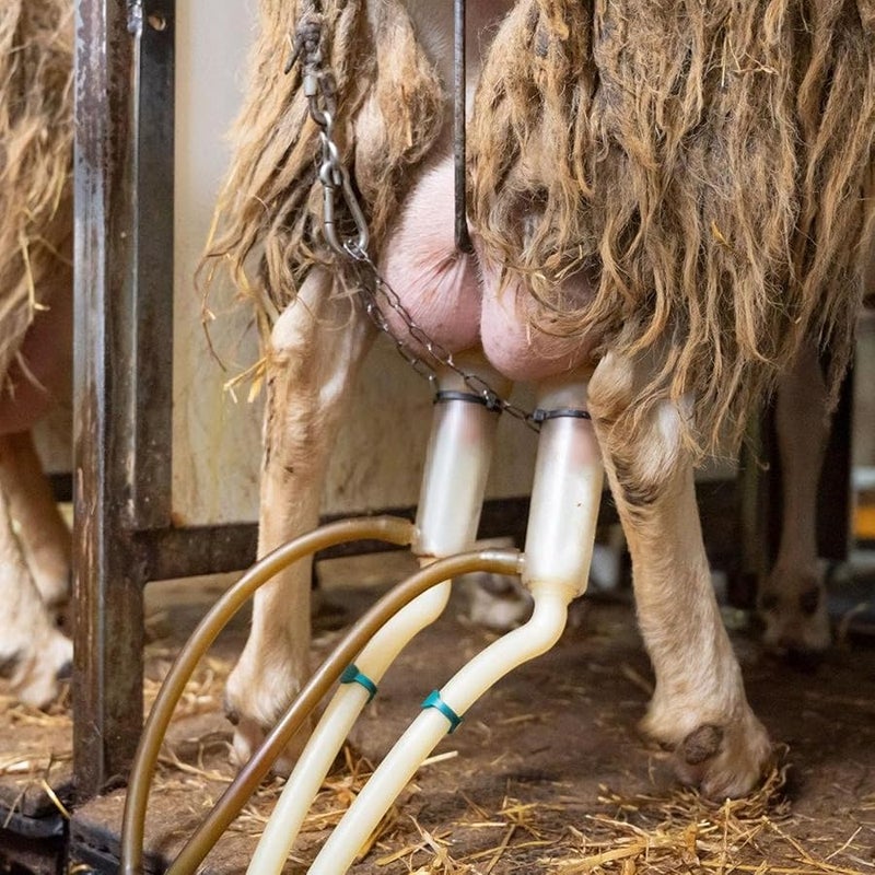 Manual Milking Machine Effort Saving Hand Milker for Home Use Compact Design - Image 3