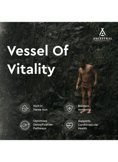 Ancestral Supplements Blood Vitality (w/Blood, Liver, Spleen) — Supports Life Blood, Bioavailable Heme Iron, Energy and Exercise Performance  - Image 3