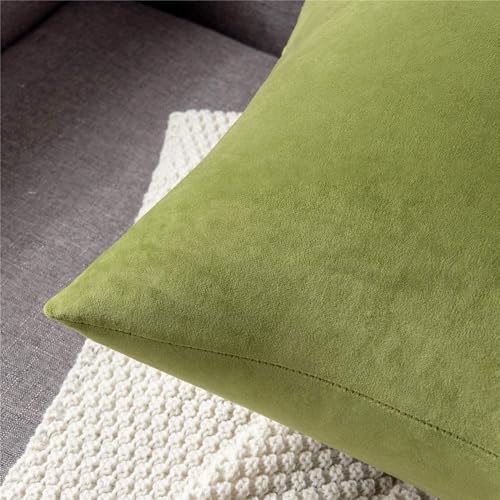 Cottonfry Ultra Soft Velvet Body Pillow Cover/Case Pillowcase with Hidden Zipper, Zippered Body Pillow Case (Green, 20x54) - Image 3