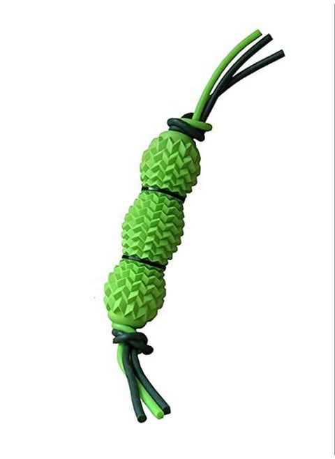 Dental Squeaky Spike Dotted Grind Bite Chewable Stick Toy For All Breeds Dogs & Puppies (Color As Per Availability)