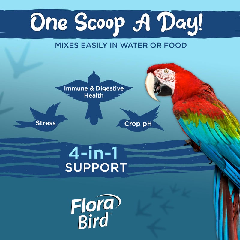 Vital Planet - Flora Bird Probiotic Powder Supplement with 10 Billion Cultures and 7 Diverse Strains, High Potency Probiotics for All Birds for Avian Digestive and Immune Support 80 Scoops 1.06 oz - Image 5