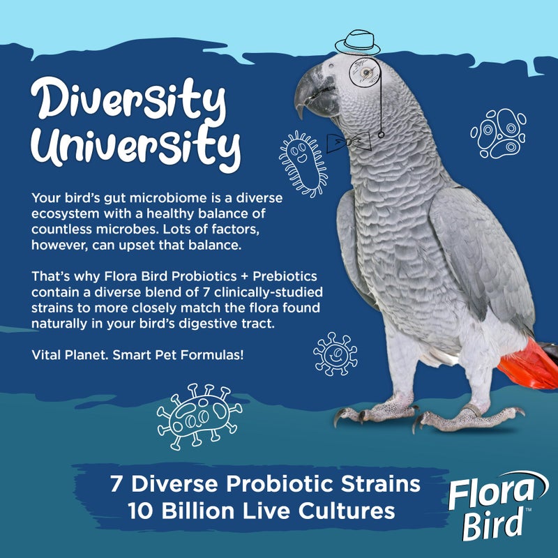 Vital Planet - Flora Bird Probiotic Powder Supplement with 10 Billion Cultures and 7 Diverse Strains, High Potency Probiotics for All Birds for Avian Digestive and Immune Support 80 Scoops 1.06 oz - Image 3