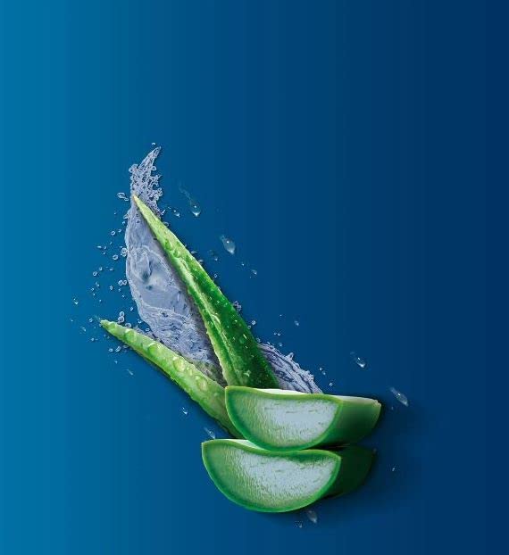 Vaseline Vas Ic Lot Aloe 10z(New) Size 10z Vaseline Intensive Care Lotion Aloe 10z Ea - Image 4