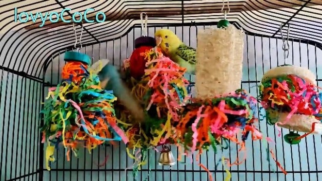 lovyoCoCo Bird Shredding Foraging Toys Parakeet Toy Chewing Hanging Toy Shredded Paper Bird Cage Accessories Bird Rope Perch for Conure Cockatiel Budgies Lovebird Parrotlet - Image 2