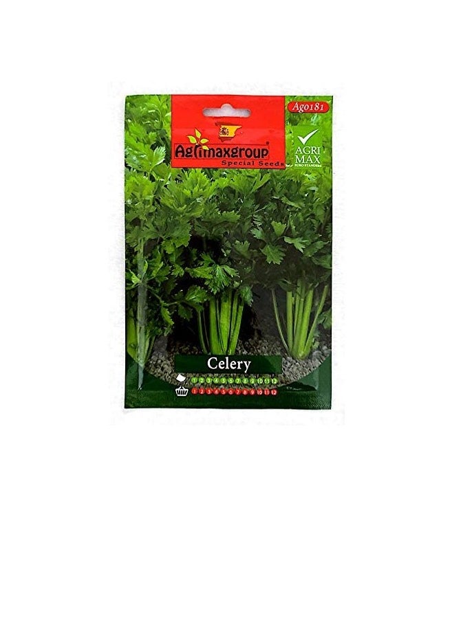 Agrimax - Celery seeds (Made in Spain) by Agrimaxgroup - Image 1