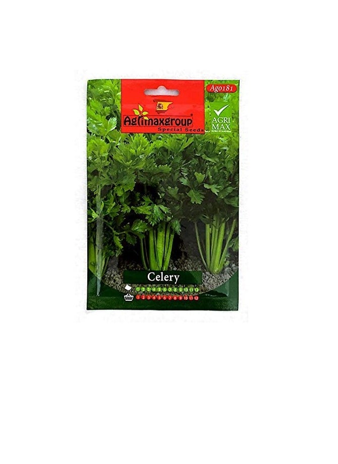 Agrimax - Celery seeds (Made in Spain) by Agrimaxgroup - Image 1