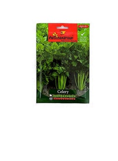Celery seeds (Made in Spain) by Agrimaxgroup