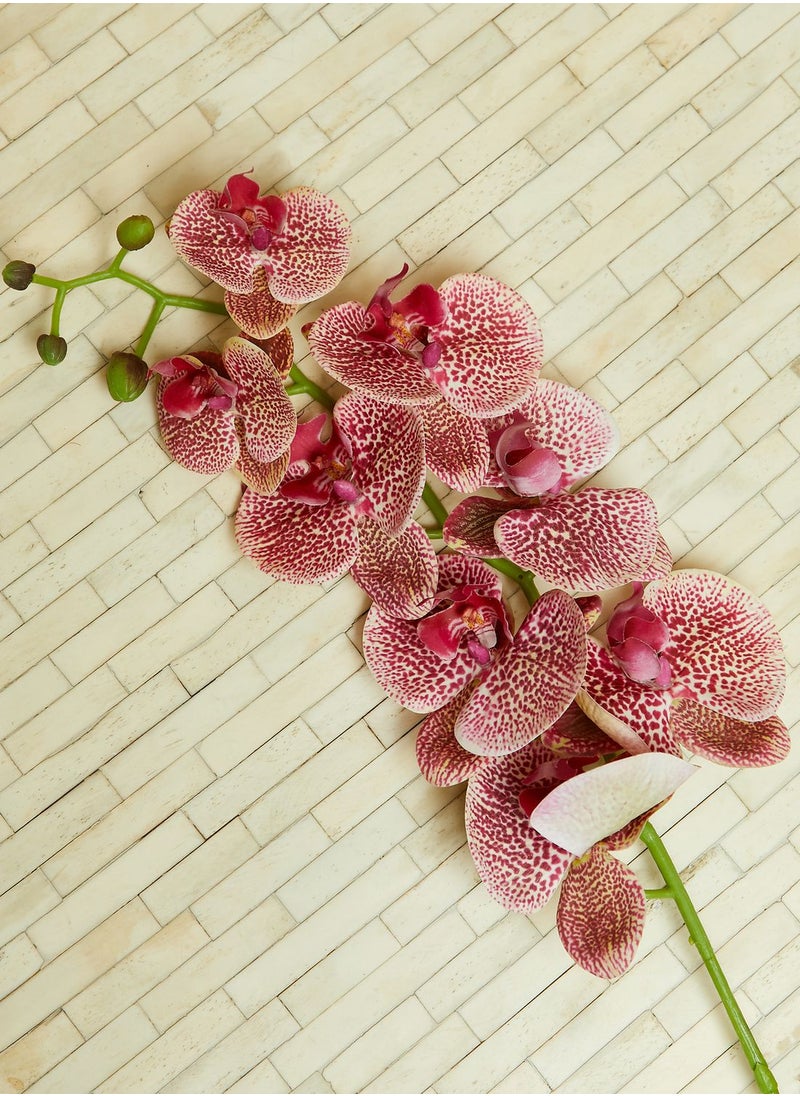Premier - Fiori Faux Orchid Spray Single Stem - Image 1