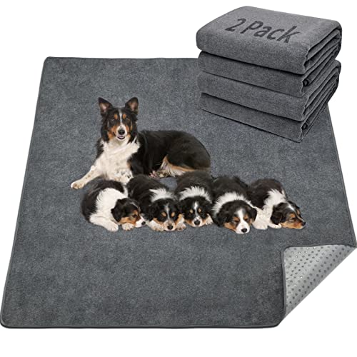 LOOBANI Washable Pee Pad for Dogs, 2 Packs Non-Slip Puppy Training Pads, Fast Absorbent Pet Whelping Pads, Puppy Playpen Mat for Incontinence, Housebreak, Crate , 36x72in, Gray - Image 1
