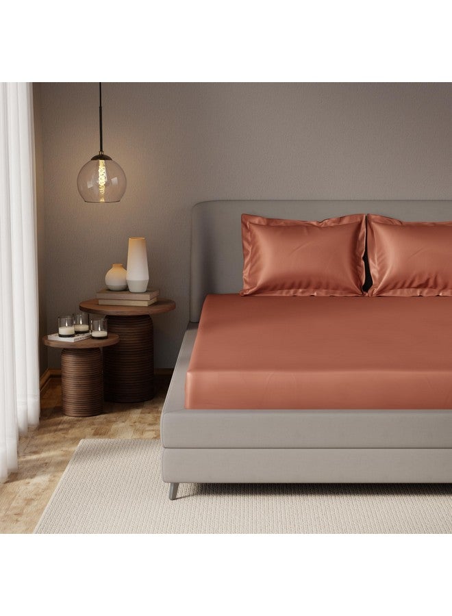 Stoa Paris ملايات سرير مرنة من ستوا باريس لسرير مزدوج مع 2 غطاء وسادة، مجموعة بياضات فاخرة 300 TC UltraSatin، ديكور منزلي، هدايا للنساء، زفاف، تدفئة منزلية، ليلة موعد - كراميل مذاب - Image 1