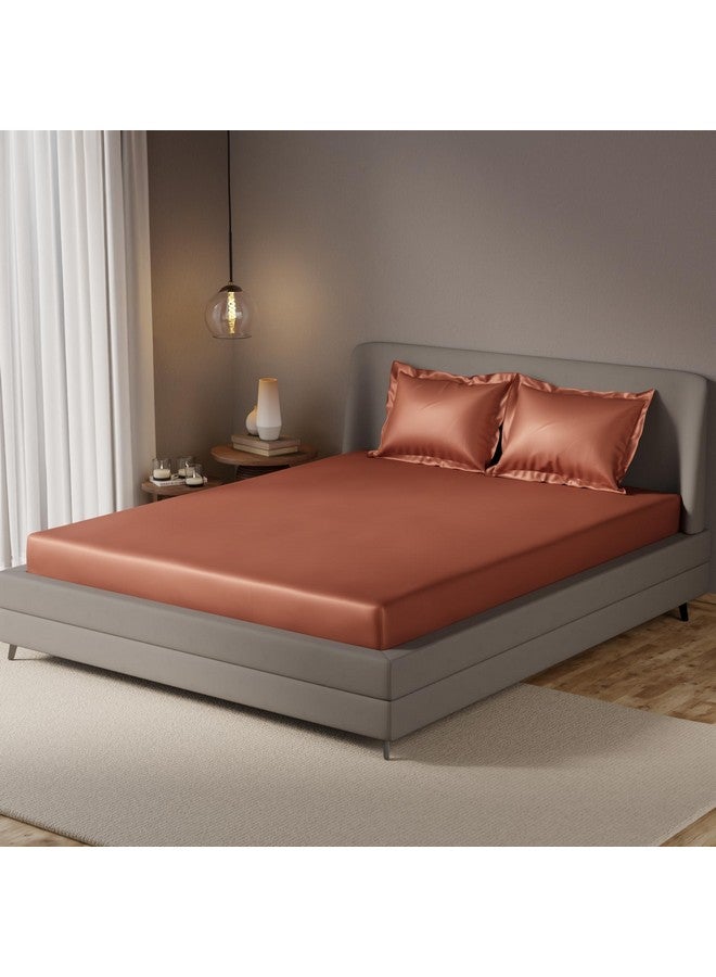 Stoa Paris ملايات سرير مرنة من ستوا باريس لسرير مزدوج مع 2 غطاء وسادة، مجموعة بياضات فاخرة 300 TC UltraSatin، ديكور منزلي، هدايا للنساء، زفاف، تدفئة منزلية، ليلة موعد - كراميل مذاب - Image 2