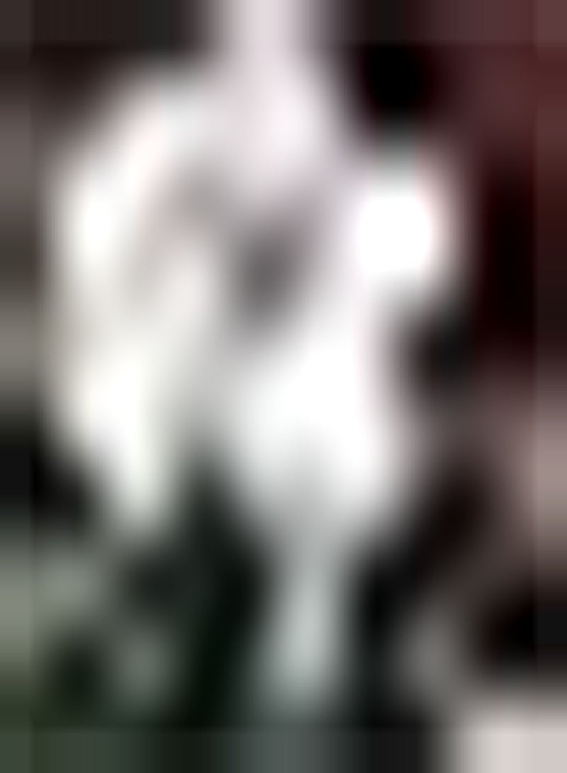 GGOOT 2pcs White Amaryllis Seeds Unique Faint Fragrance When Flowers Bloom DIY Garden Craft Art Decoration Suitable for Planting in Garden Green Space - Image 2