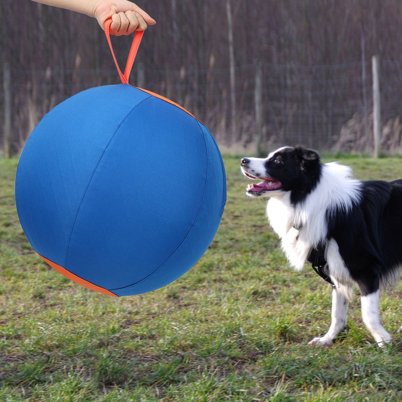 Blue Medium Pet Dog Border Collie Training Ball With Pump 21.7 Inch - Image 5