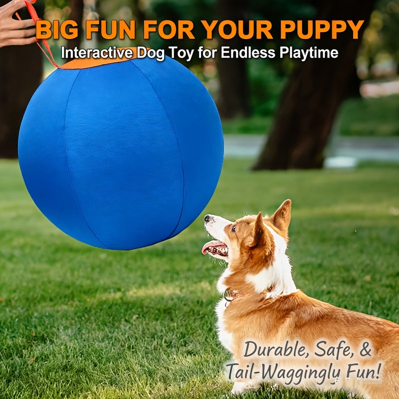 Blue Medium Pet Dog Border Collie Training Ball With Pump 21.7 Inch - Image 1