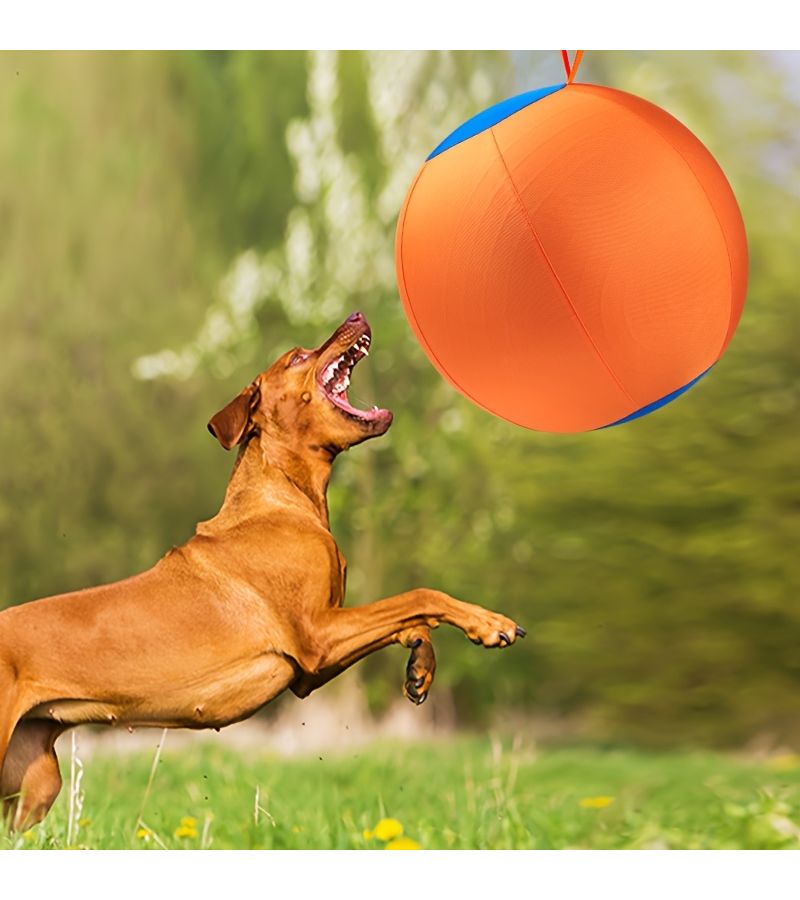 Blue Medium Pet Dog Border Collie Training Ball With Pump 21.7 Inch - Image 4