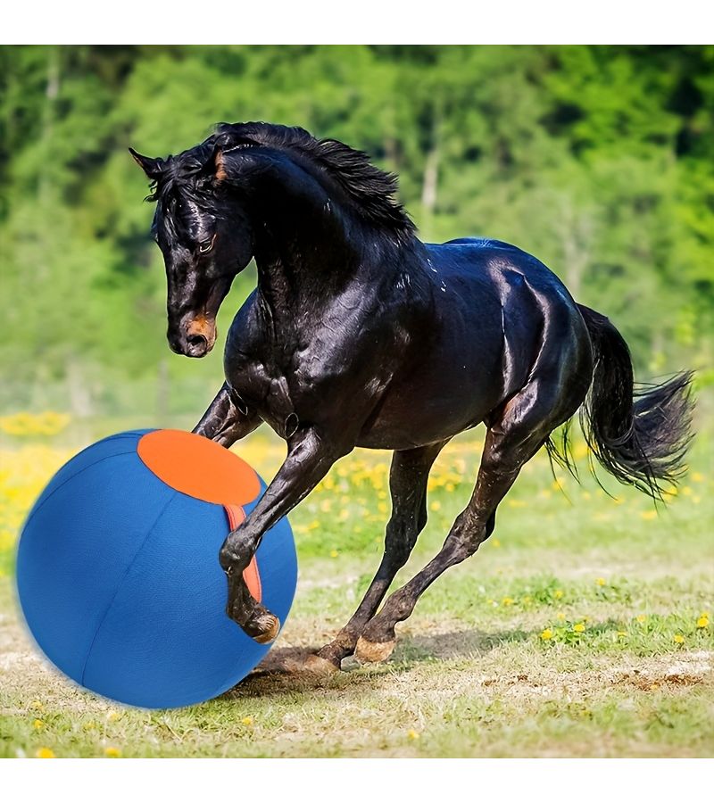 Blue Medium Pet Dog Border Collie Training Ball With Pump 21.7 Inch - Image 3