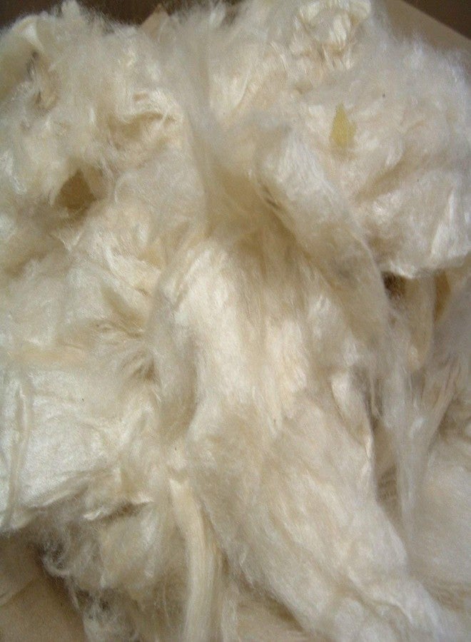 Bean Products Premium Kapok Fill | 2.5 lbs | 100% Organic Kapok Fiber | Chemical Free and Hypoallergenic | Perfect for Pillows, Pet Beds, Couches & More | Made in USA - Image 1