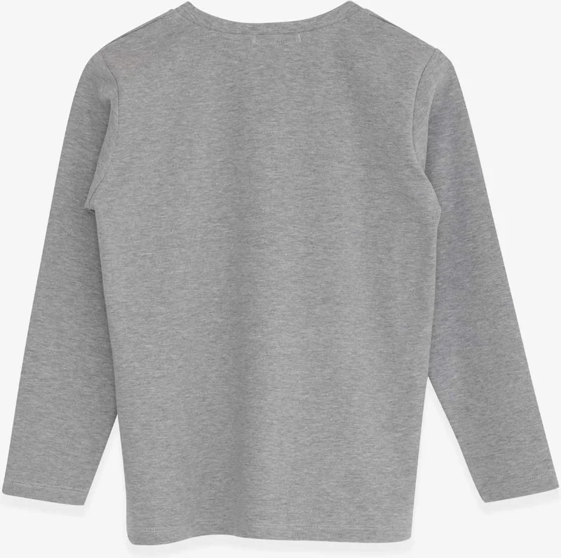 Breeze Boy's Long Sleeve T-Shirt Text Printed, Ages 6-12, Gray Melange