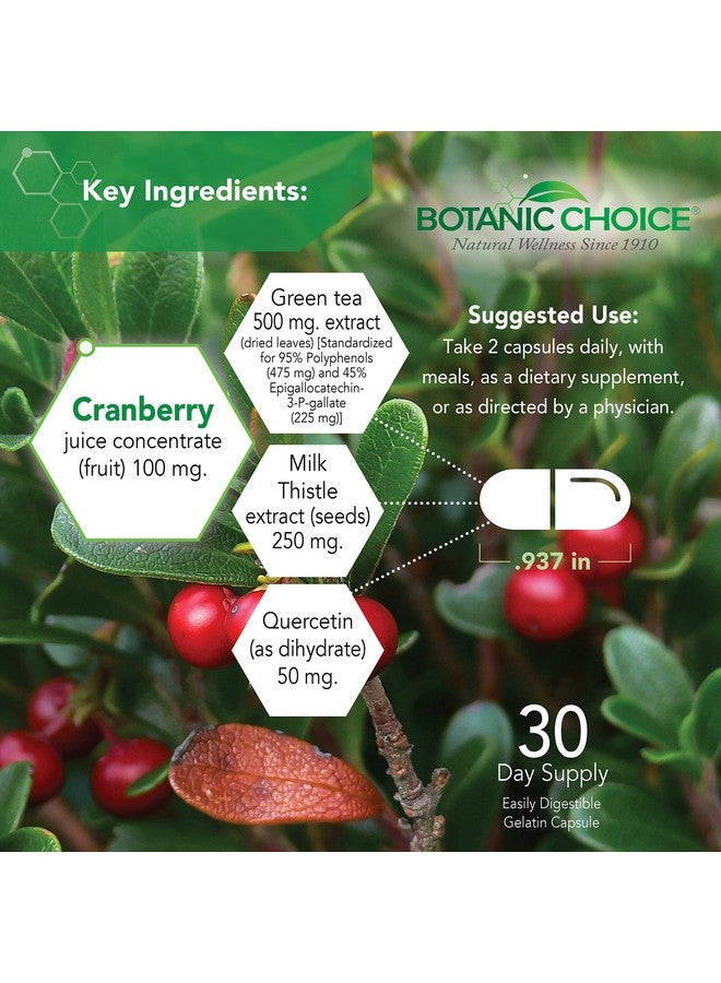 Botanic Choice Ultra Kidney Complex - Optimal Kidney Support with Milk Thistle, Green Tea & More- 60 Capsules - Image 3