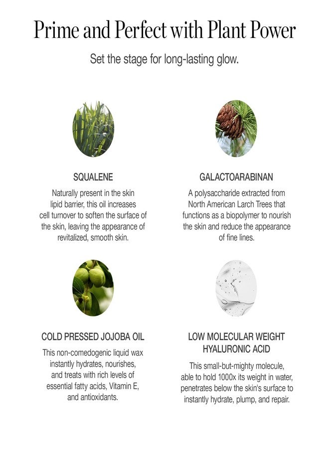 Ogee Makeup Primer - Activated Botanical Face Primer for Oily Skin & All Skin Types - Hydrating Primer with Jojoba Oil & Hyaluronic Acid - 73% Organic Ingredients & Made in USA - Image 2