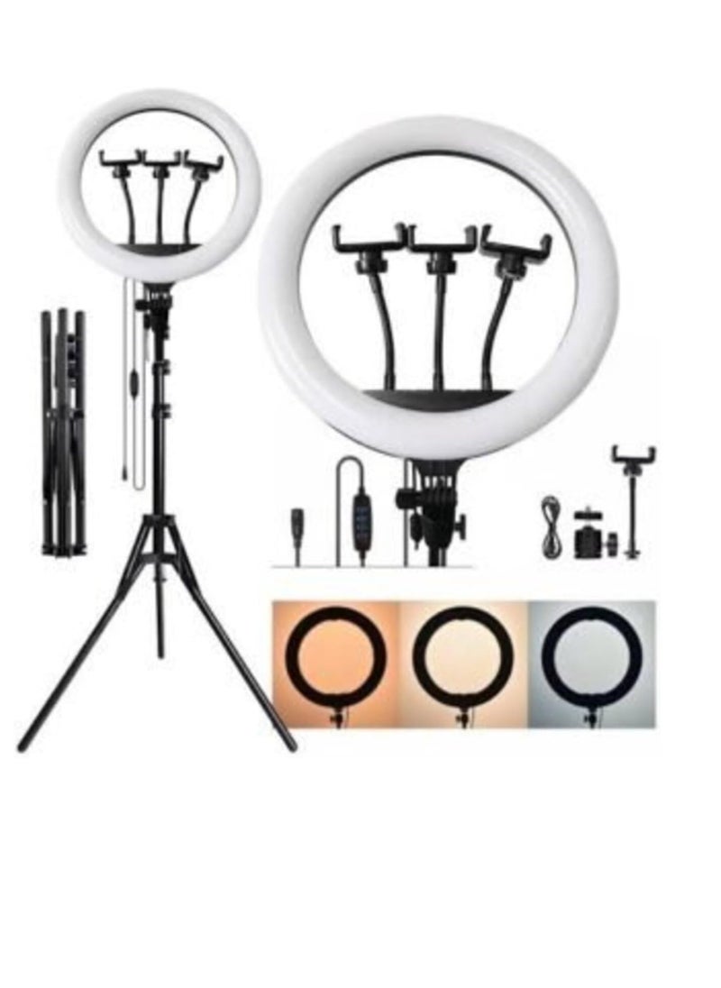 Generic - LED Ring Light with 3 Dimmable Color Modes for YouTube, Photo Shooting, Video, Live Streaming, Makeup, Vlogging, Compatible with iPhone/Android, 3 Holders + Remote Control (46cm Ring + Holder) - Image 1