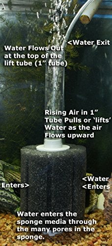 Sobo Sb-933 Aquarium Sponge Filter (X-Small) - Image 4