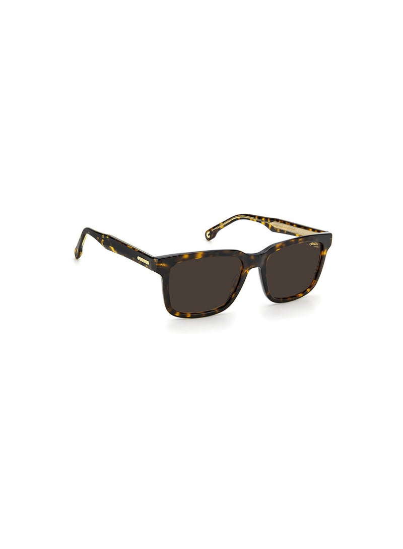 Carrera Unisex UV Protection Square Sunglasses - Carrera 251/S Hvn 53 - Lens Size: 53 Mm - Image 2