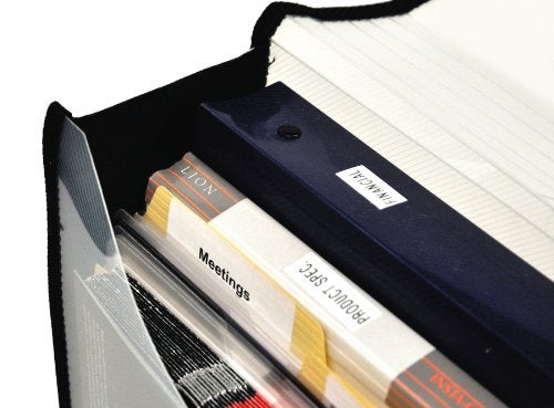 Lion محفظة ليو إكسباند-إن-فايل بولي القابلة للتوسع، بحجم خطاب (9-1/2 بوصة × 12 بوصة)، بعمق 3 بوصات، شفافة، 1 محفظة (48160-CR) - Image 2