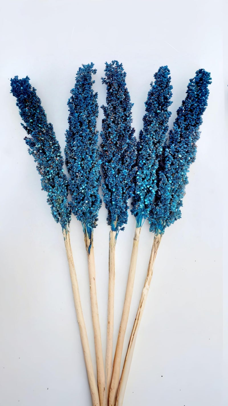RUKDA® Dried Blue Sorghum Flower || Decoration Dried Flower Sheaves || Flower Dry Grass Bouquet for Wedding Table centerpieces Decoration, Home Decoration, Office Decoration, etc - 5pcs - Image 1