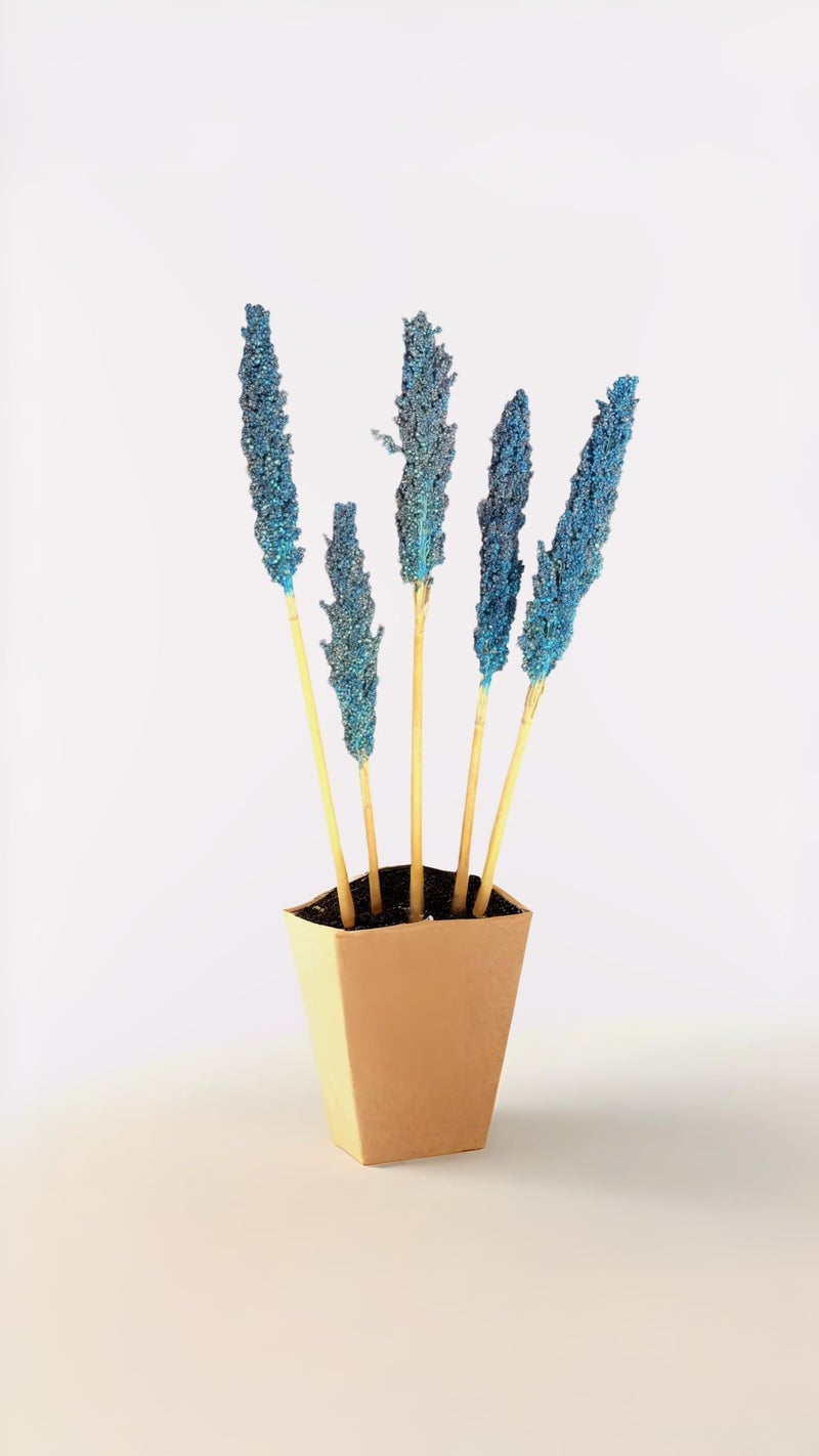 RUKDA® Dried Blue Sorghum Flower || Decoration Dried Flower Sheaves || Flower Dry Grass Bouquet for Wedding Table centerpieces Decoration, Home Decoration, Office Decoration, etc - 5pcs - Image 3