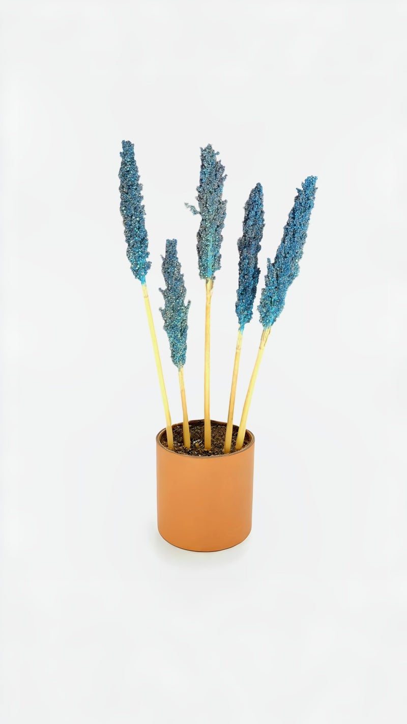 RUKDA® Dried Blue Sorghum Flower || Decoration Dried Flower Sheaves || Flower Dry Grass Bouquet for Wedding Table centerpieces Decoration, Home Decoration, Office Decoration, etc - 5pcs - Image 5